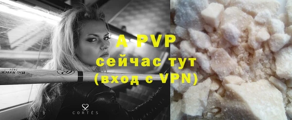 apvp Бородино