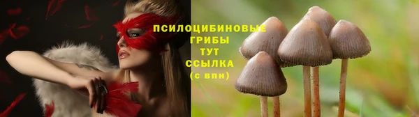 стаф Волоколамск