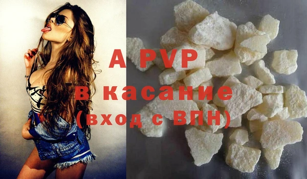 стаф Волоколамск