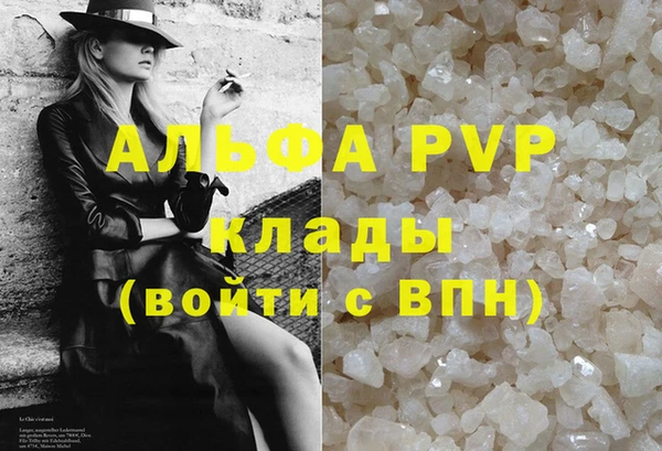 стаф Волоколамск